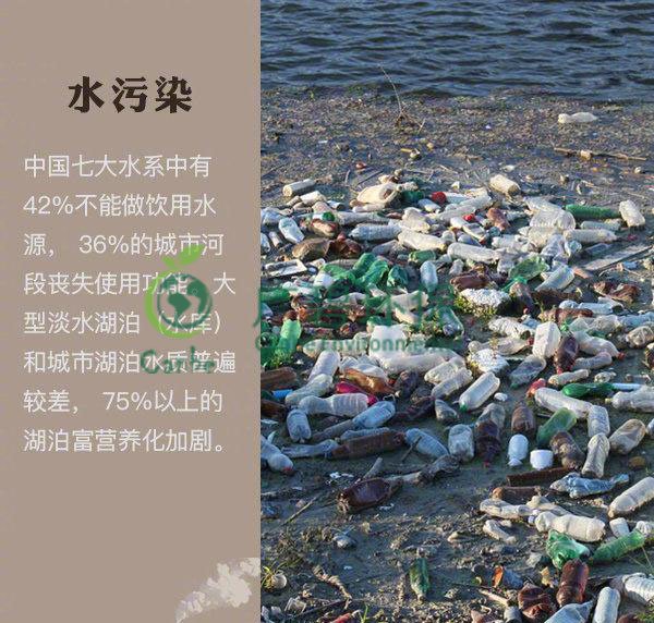 世界地球日 我們能為地球做些什么？(圖2)