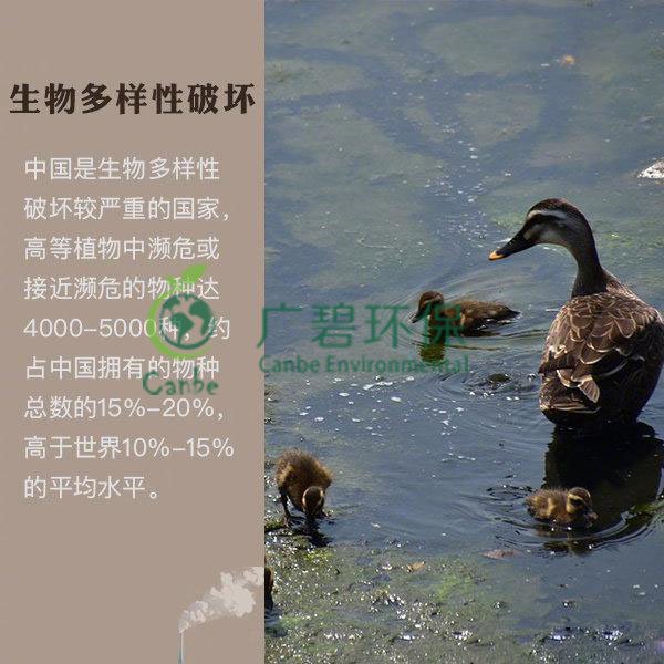 世界地球日 我們能為地球做些什么？(圖6)