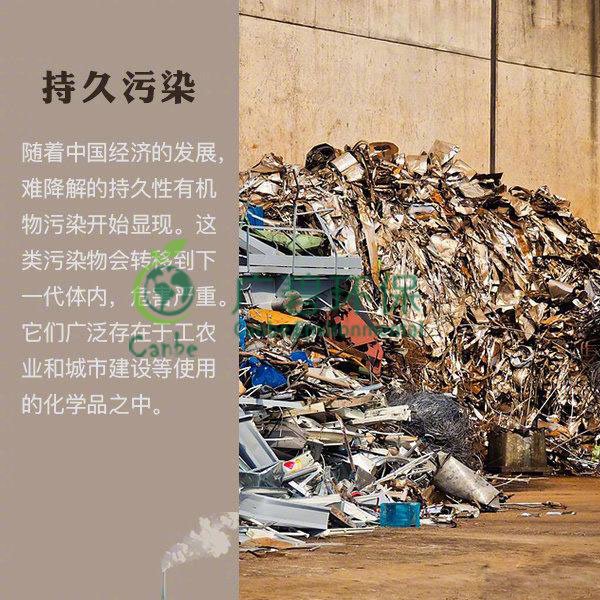 世界地球日 我們能為地球做些什么？(圖8)