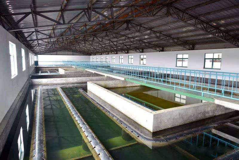 什么是制糖廢水？制糖廢水處理技術(shù)