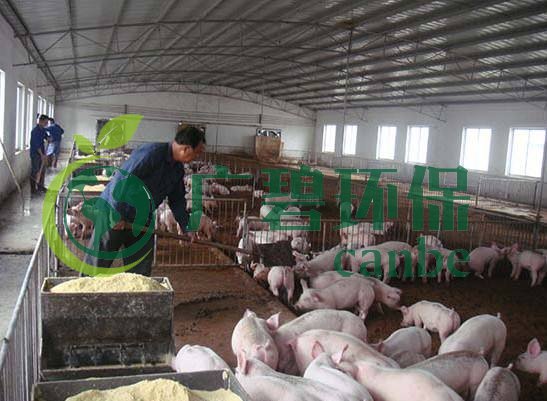 什么是養(yǎng)殖廢水？養(yǎng)殖廢水處理工藝(圖1)