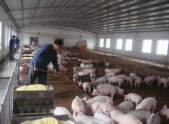 什么是養(yǎng)殖廢水？養(yǎng)殖廢水處理工藝