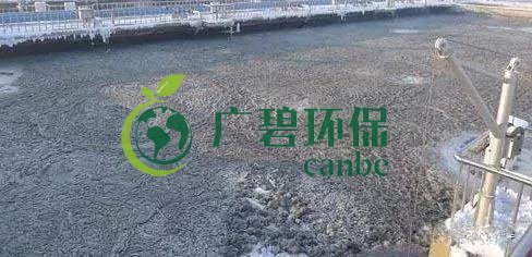 污水氨氮超標(biāo)怎么解決？氨氮超標(biāo)原因與解決方法(圖2)
