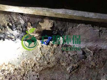 廣州旺旺食品廢水直排，永和河大量魚(yú)類死亡(圖4)