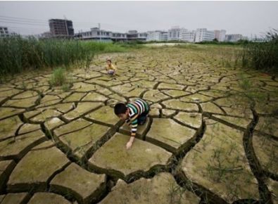 【世界土壤日】《土壤污染防治法》有哪些亮點？