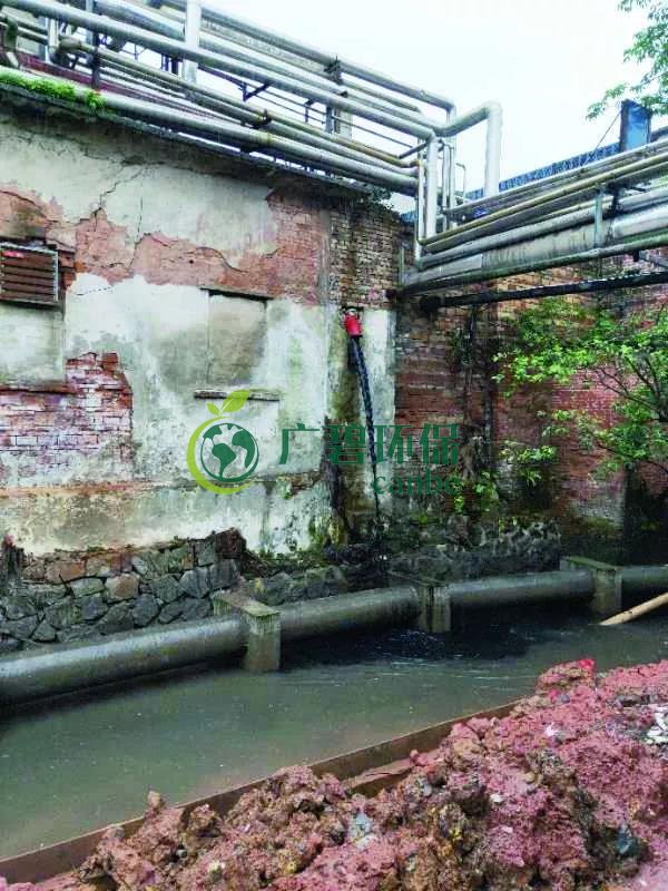 廣州海珠有污水直排河涌，3名涉案人員被行政拘留(圖1)